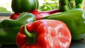 Болгарский перец – польза и вред разноцветной паприки Витамин с в красном перце
